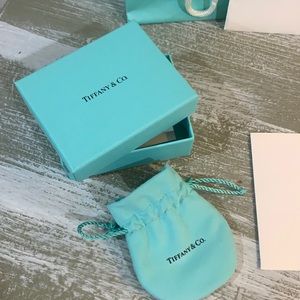 Tiffany jewelry gift bag (*no jewelry included*)